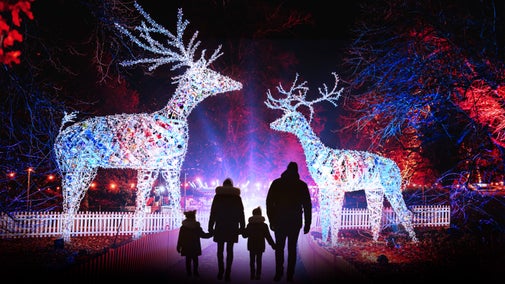 A silhouette of four people walking towards two giant glittering deer.